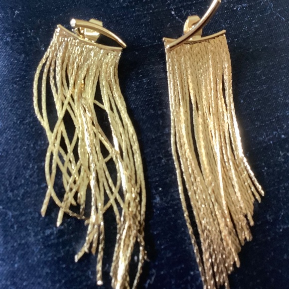 Minimalist Fringe Long Earrings - Picture 10 of 10